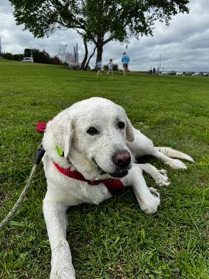 Come see Wally in live and in person!